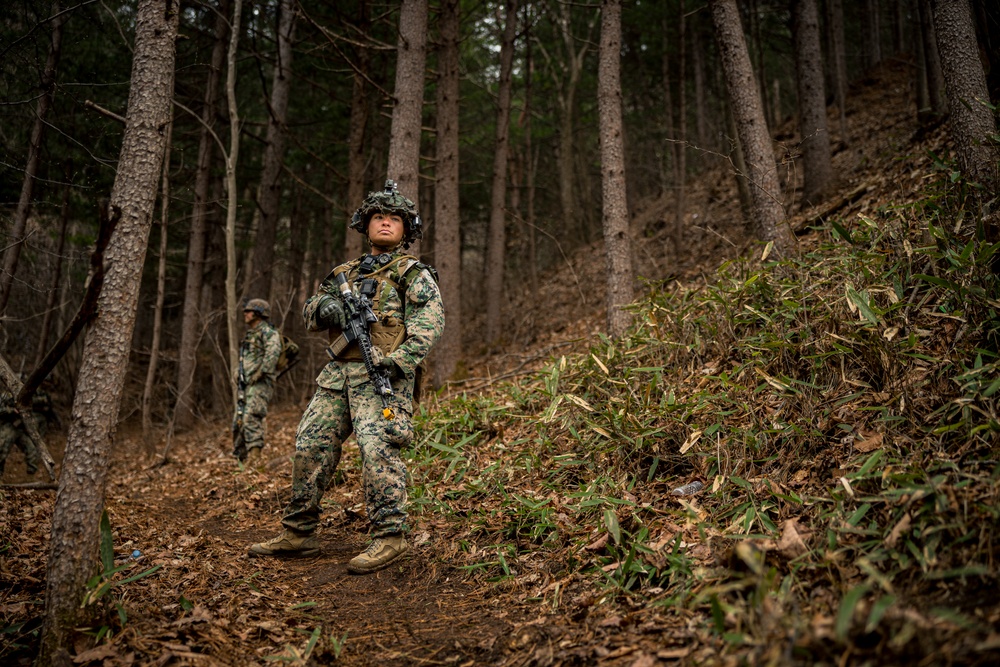 Warrior Shield 24: U.S. Marines Execute Training at KCTC
