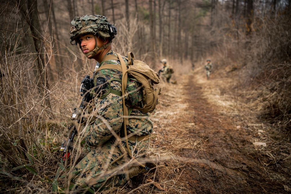 Warrior Shield 24: U.S. Marines Execute Training at KCTC