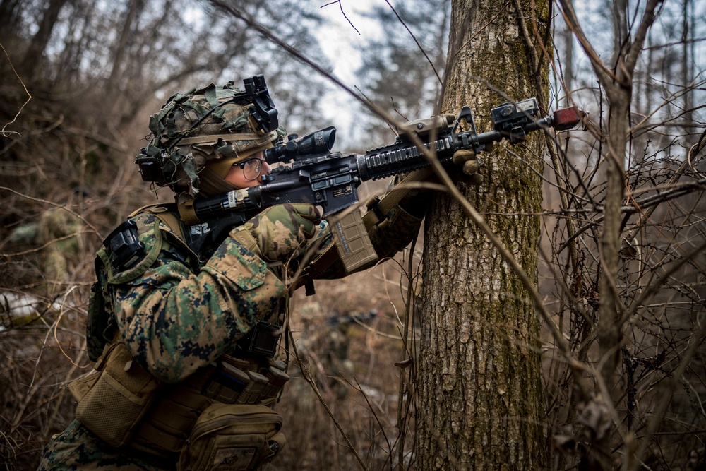 Warrior Shield 24: U.S. Marines Execute Training at KCTC