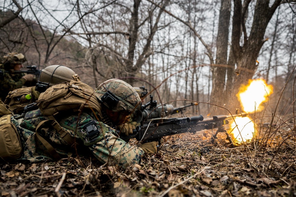 Warrior Shield 24: U.S. Marines Execute Training at KCTC