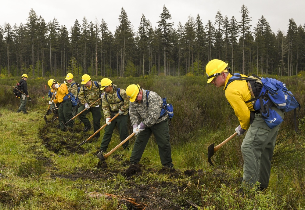 Guard members train on wildland firefighting techniques