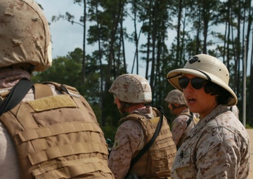 Bravo Company Table 2