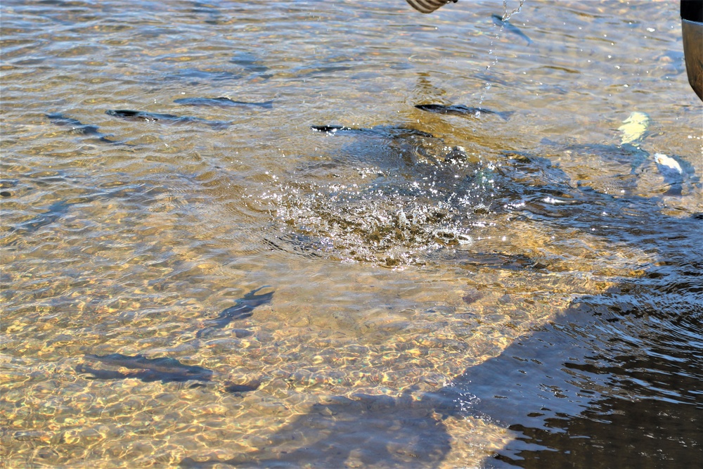 USFWS stocks more than 15,000 rainbow trout in Fort McCoy’s waterways for 2024 fishing season