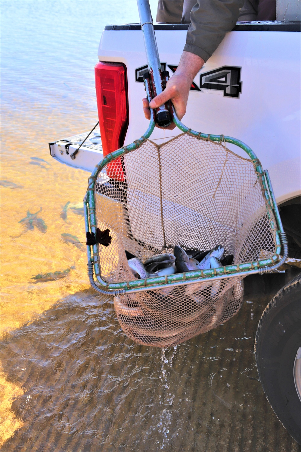 USFWS stocks more than 15,000 rainbow trout in Fort McCoy’s waterways for 2024 fishing season