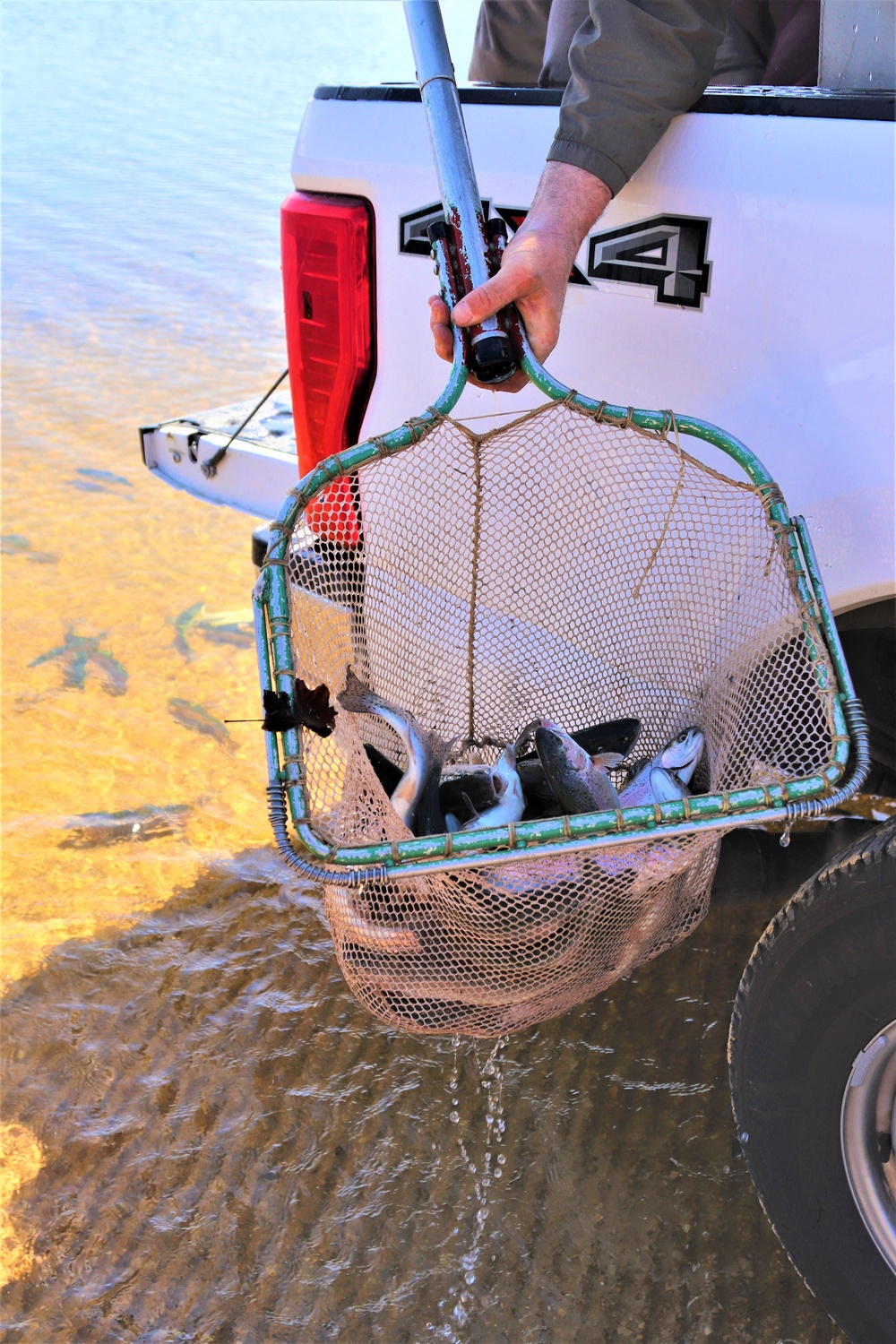 USFWS stocks more than 15,000 rainbow trout in Fort McCoy’s waterways for 2024 fishing season