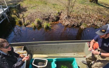 Photo Story: Fort McCoy completes 2024 fish surveys, Part II