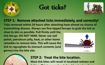 Got Ticks? BACH Environmental Health provides a 3-Step process for Ticks!