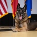 MWD Brix retires after nine years of service