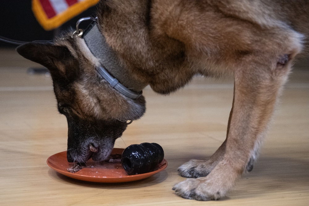 MWD Brix retires after nine years of service