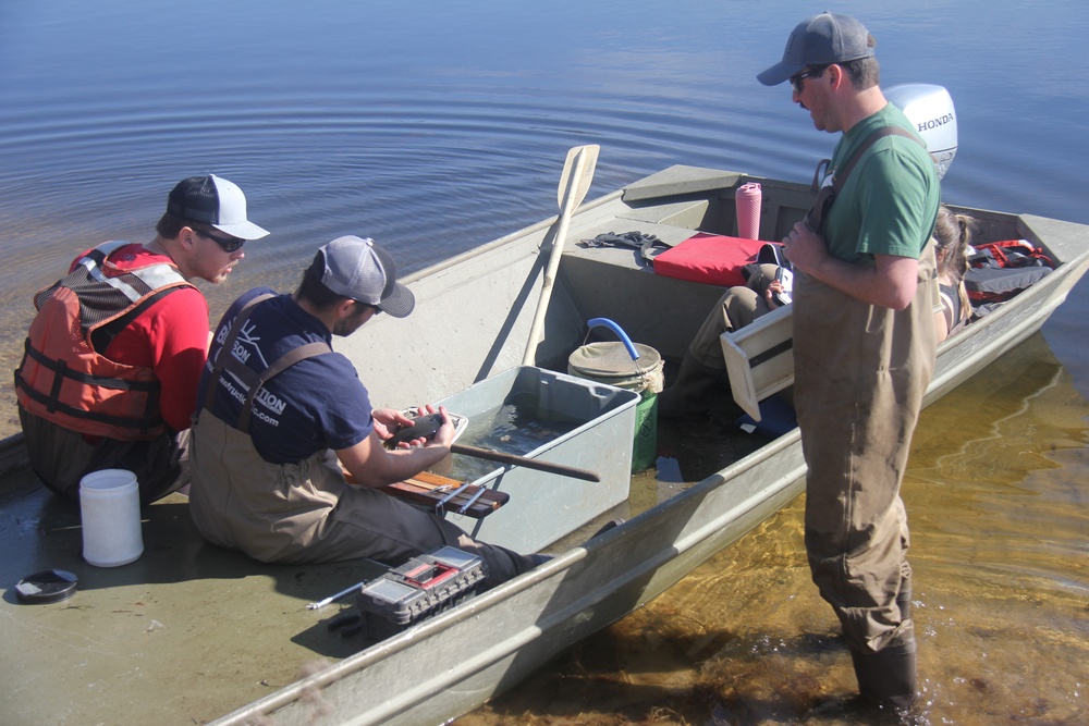 Fort McCoy completes fish surveys to help improve post’s fisheries management