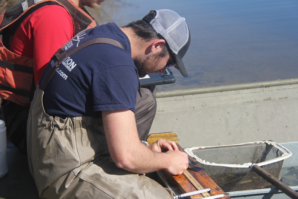 Fort McCoy completes fish surveys to help improve post’s fisheries management