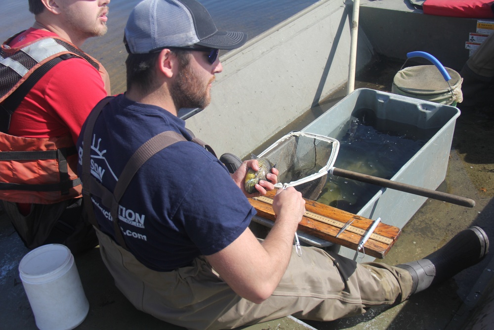 Fort McCoy completes fish surveys to help improve post’s fisheries management