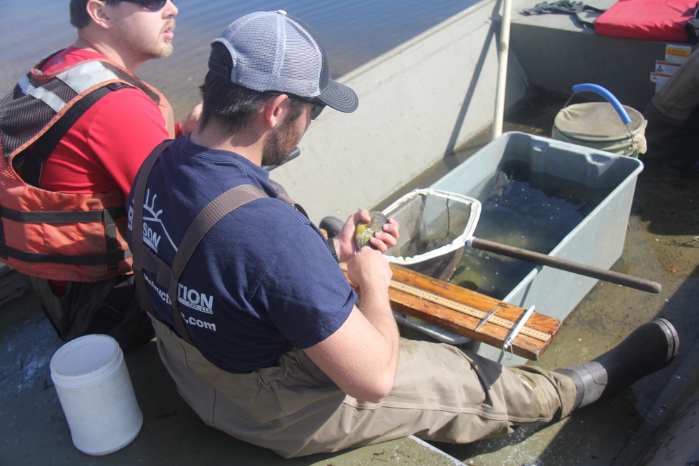 Fort McCoy completes fish surveys to help improve post’s fisheries management