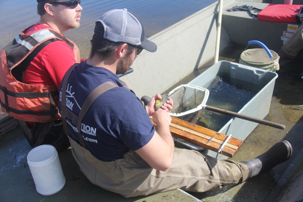 Fort McCoy completes fish surveys to help improve post’s fisheries management