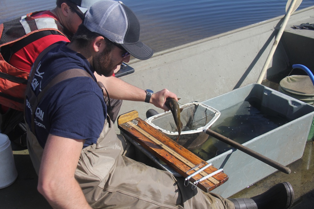 Fort McCoy completes fish surveys to help improve post’s fisheries management