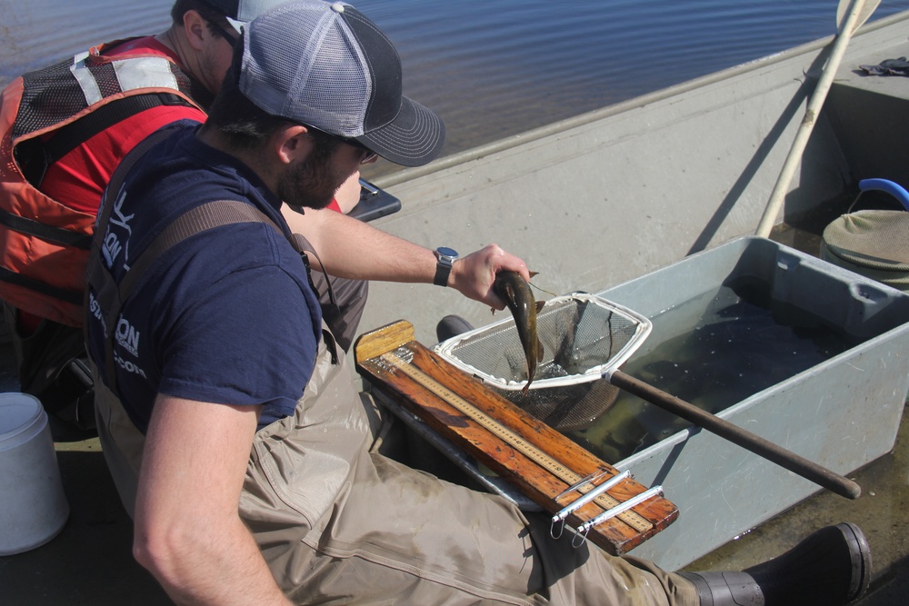 Fort McCoy completes fish surveys to help improve post’s fisheries management