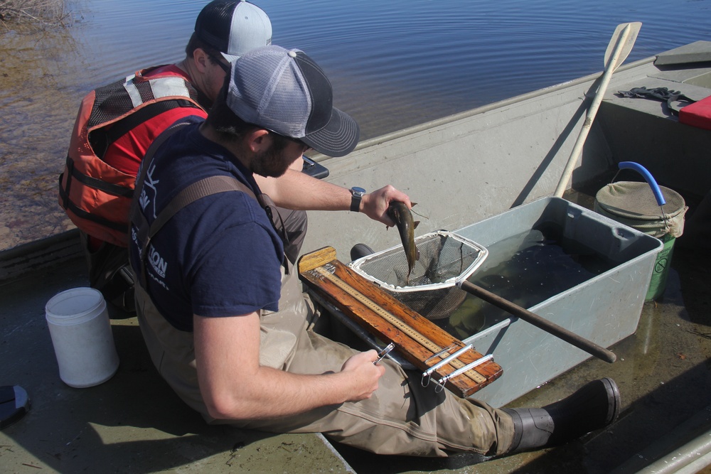 Fort McCoy completes fish surveys to help improve post’s fisheries management