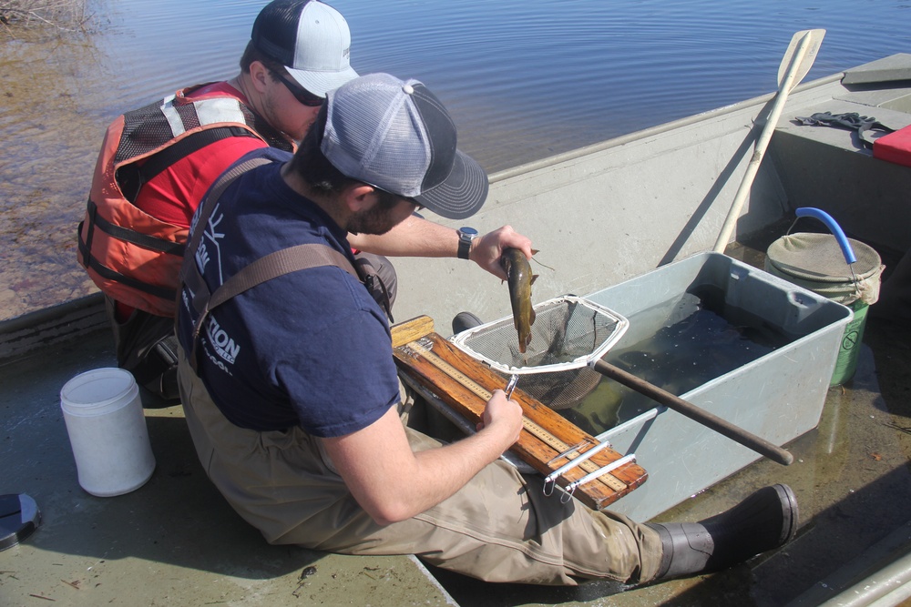 Fort McCoy completes fish surveys to help improve post’s fisheries management