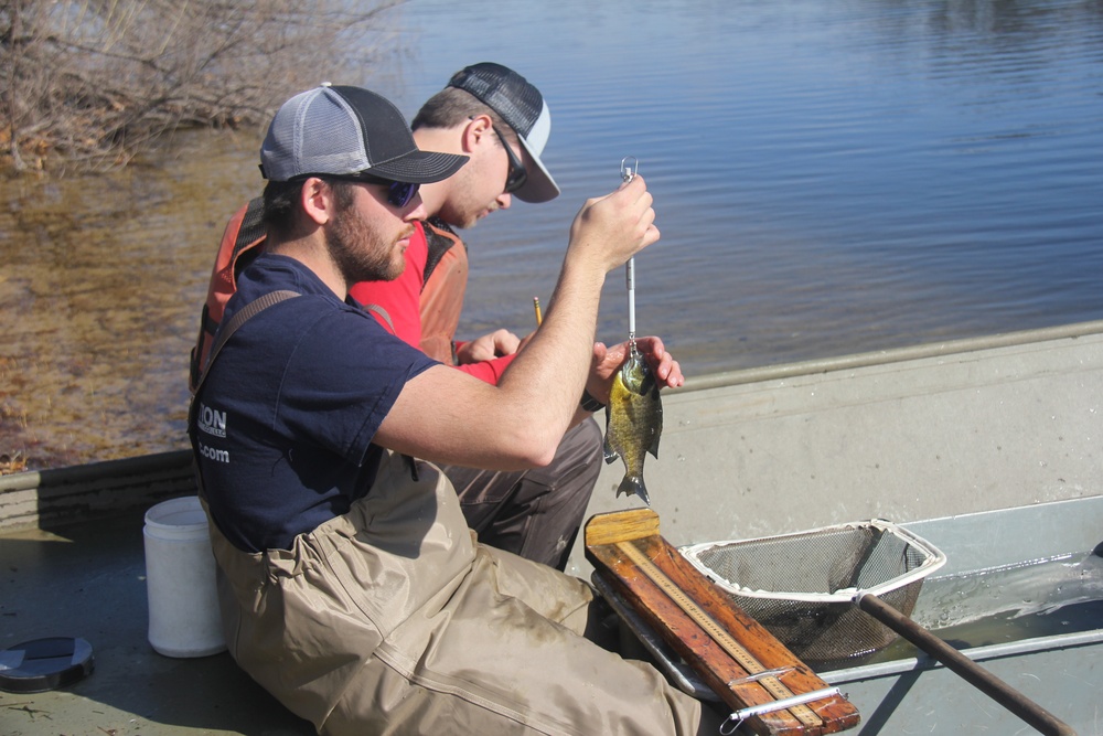 Fort McCoy completes fish surveys to help improve post’s fisheries management