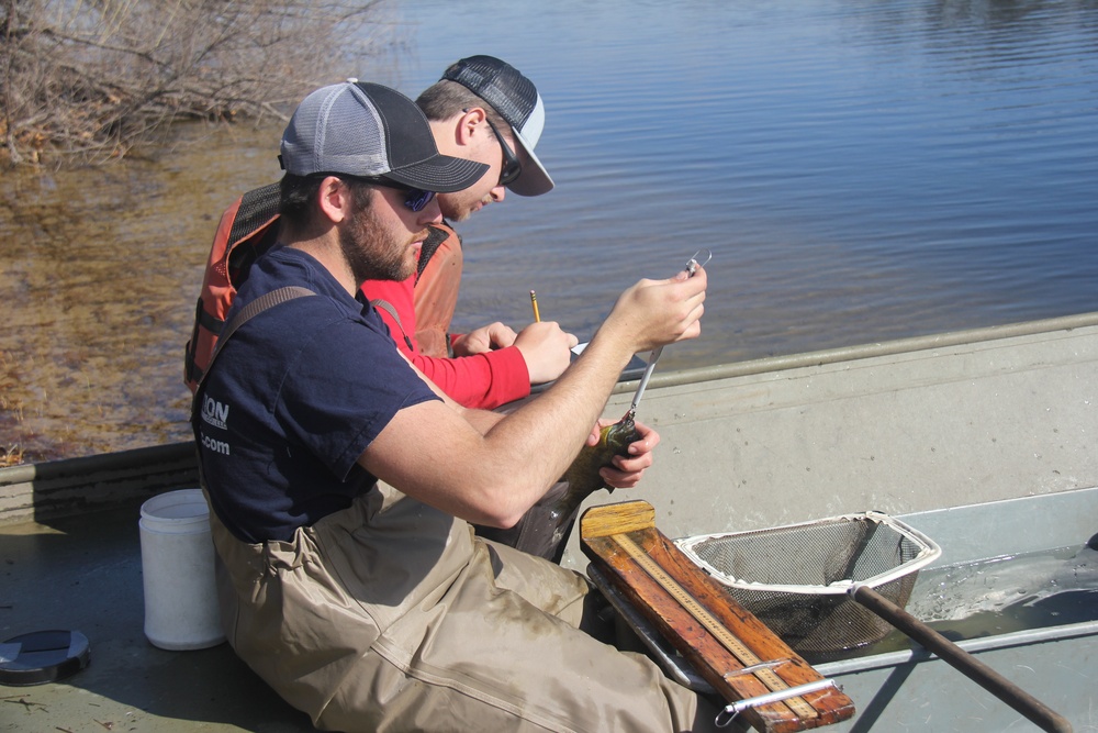 Fort McCoy completes fish surveys to help improve post’s fisheries management