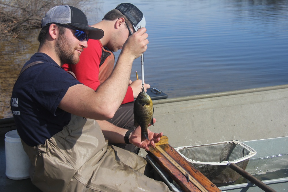 Fort McCoy completes fish surveys to help improve post’s fisheries management