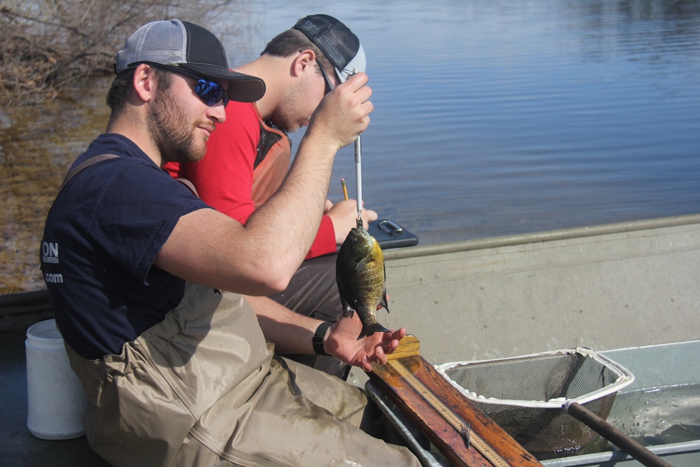 Fort McCoy completes fish surveys to help improve post’s fisheries management