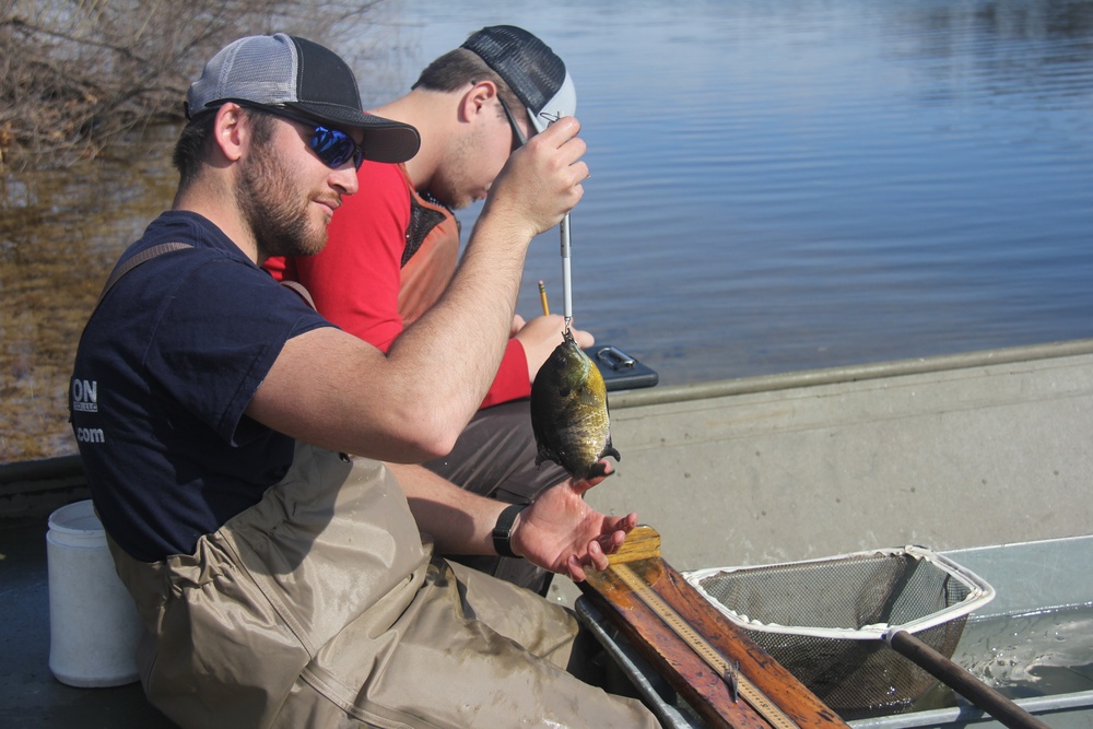 Fort McCoy completes fish surveys to help improve post’s fisheries management