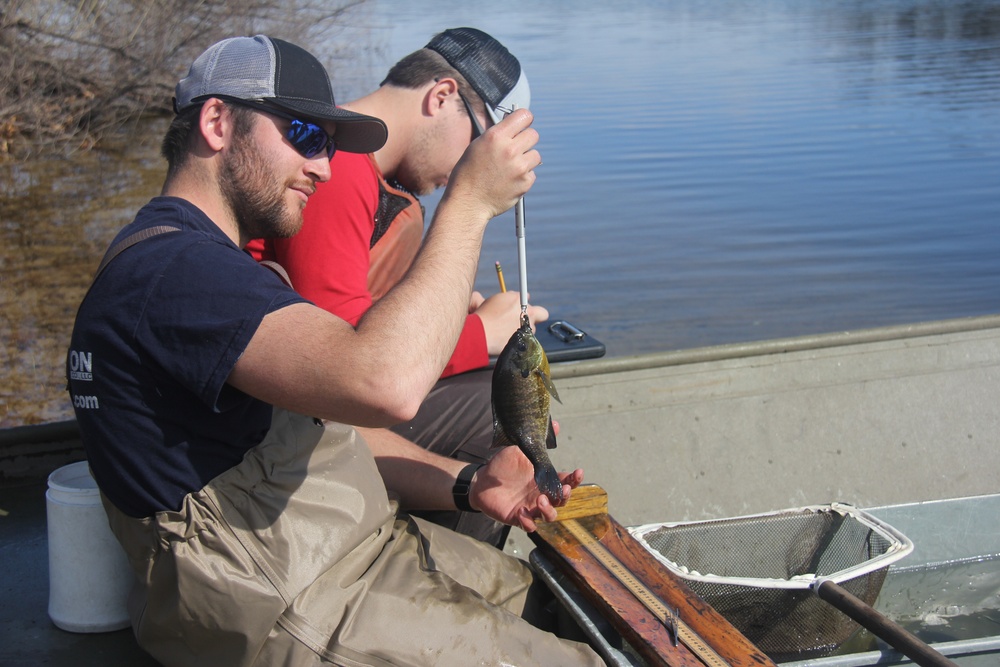 Fort McCoy completes fish surveys to help improve post’s fisheries management