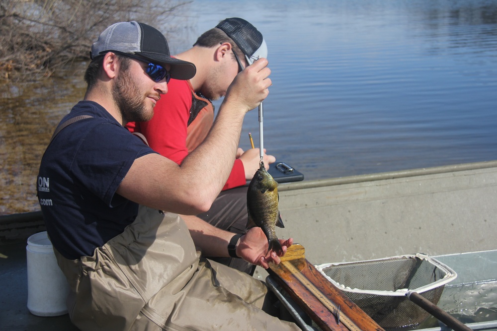 Fort McCoy completes fish surveys to help improve post’s fisheries management