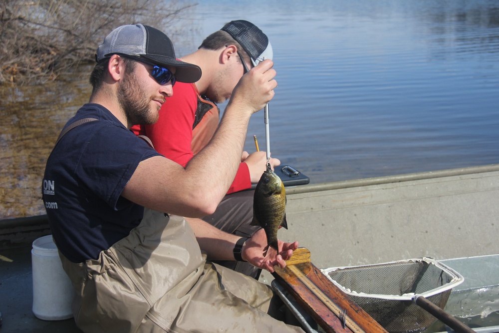 Fort McCoy completes fish surveys to help improve post’s fisheries management