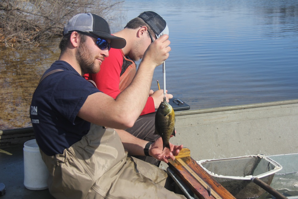 Fort McCoy completes fish surveys to help improve post’s fisheries management