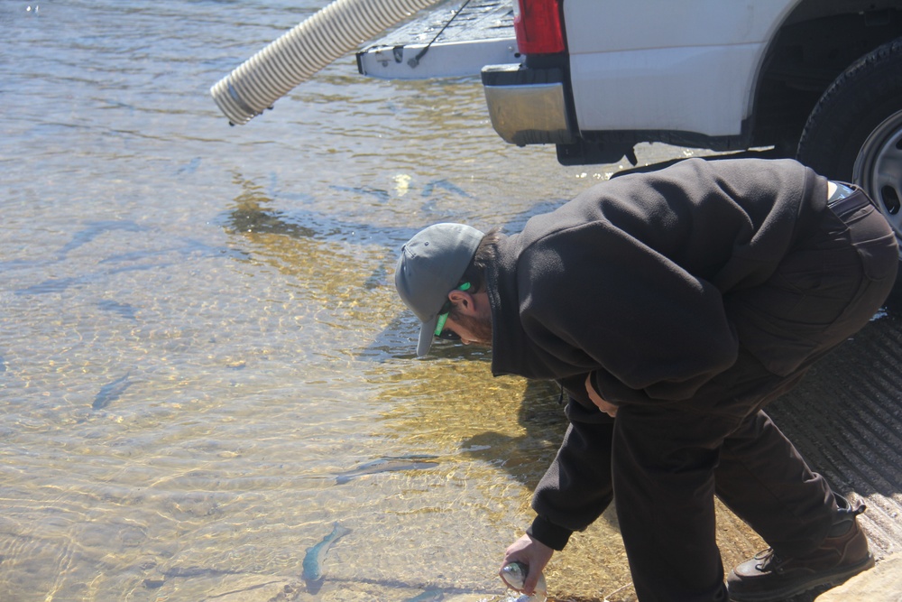 USFWS stocks more than 15,000 rainbow trout in Fort McCoy’s waterways for 2024 fishing season