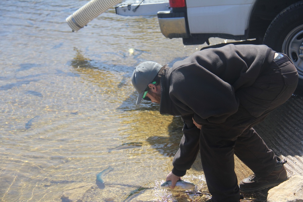 USFWS stocks more than 15,000 rainbow trout in Fort McCoy’s waterways for 2024 fishing season