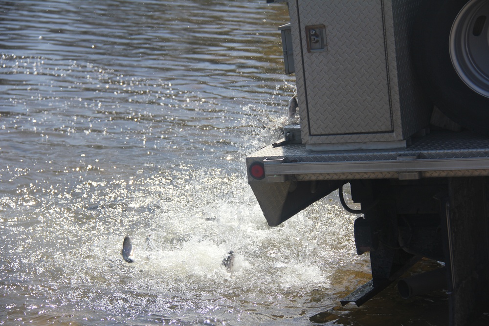 USFWS stocks more than 15,000 rainbow trout in Fort McCoy’s waterways for 2024 fishing season