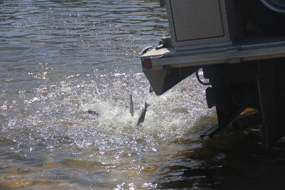 USFWS stocks more than 15,000 rainbow trout in Fort McCoy’s waterways for 2024 fishing season