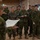 U.S. Marines and Canadian Soldiers plan to defend against cyber attacks