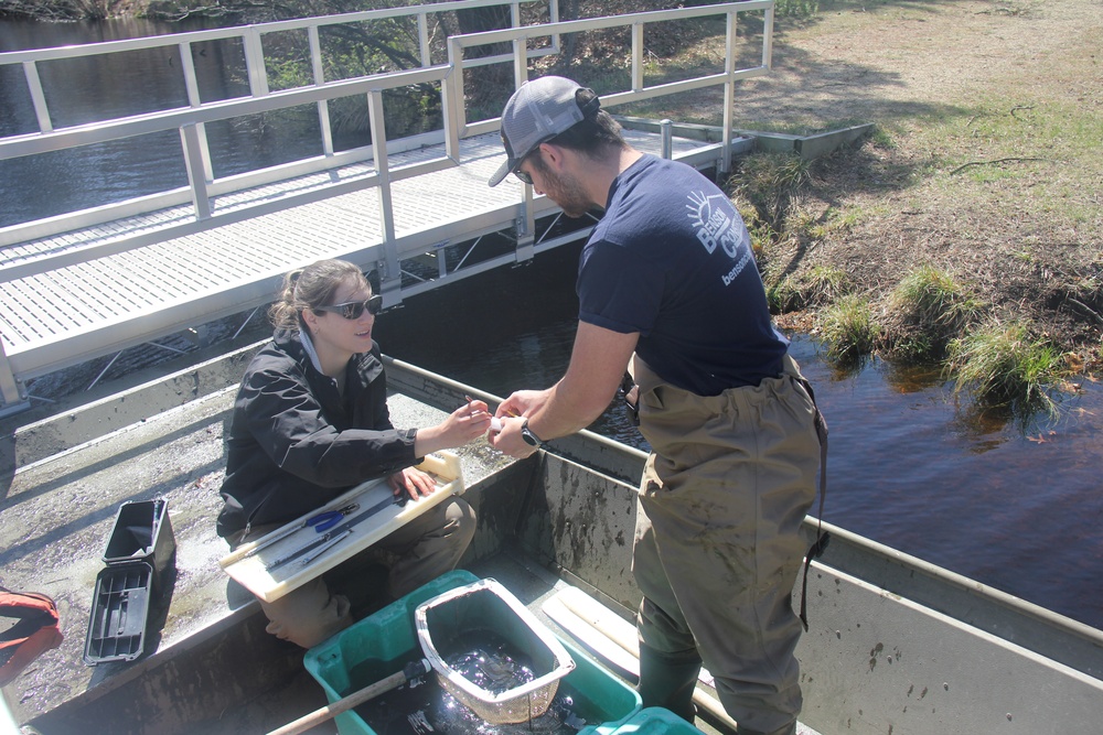 Fort McCoy completes fish surveys to help improve post’s fisheries management