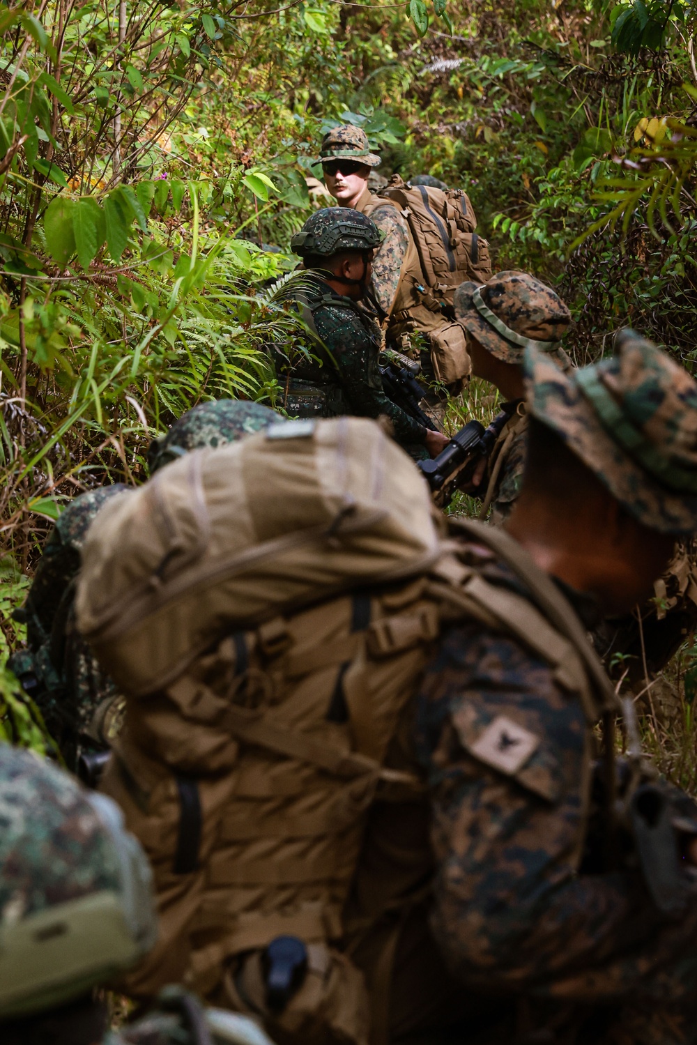 DVIDS - Images - Balikatan 24: LAR Co. Patrols Through Jungle with ...