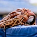 USAFA Baseball vs University of Nevada