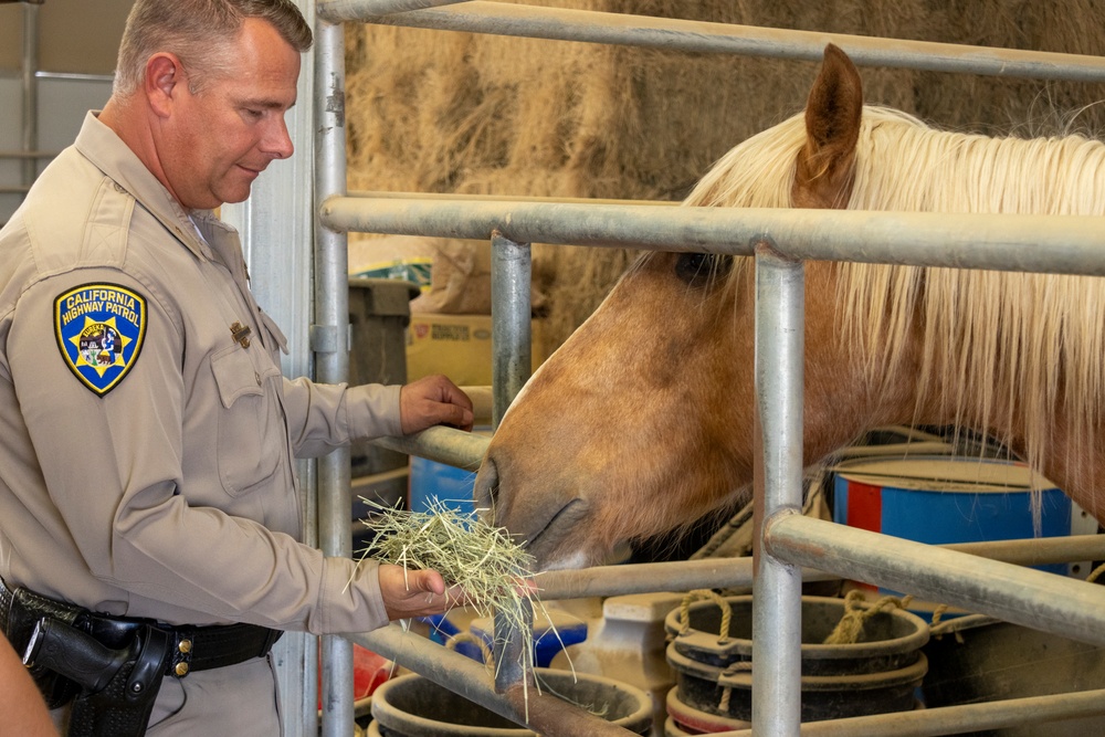 CHP Visit to Mounted Color Guard Stables