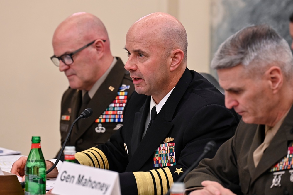 DOD vice chiefs testify at SASC-R