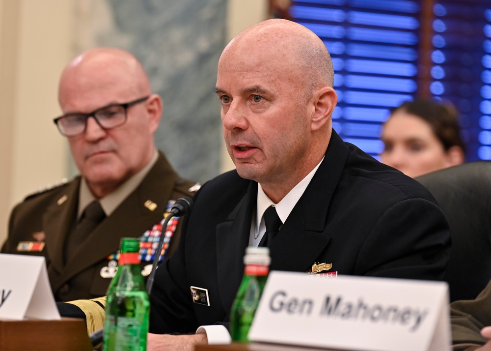 DOD vice chiefs testify at SASC-R
