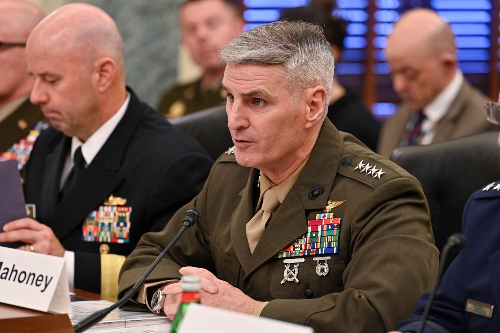 DOD vice chiefs testify at SASC-R