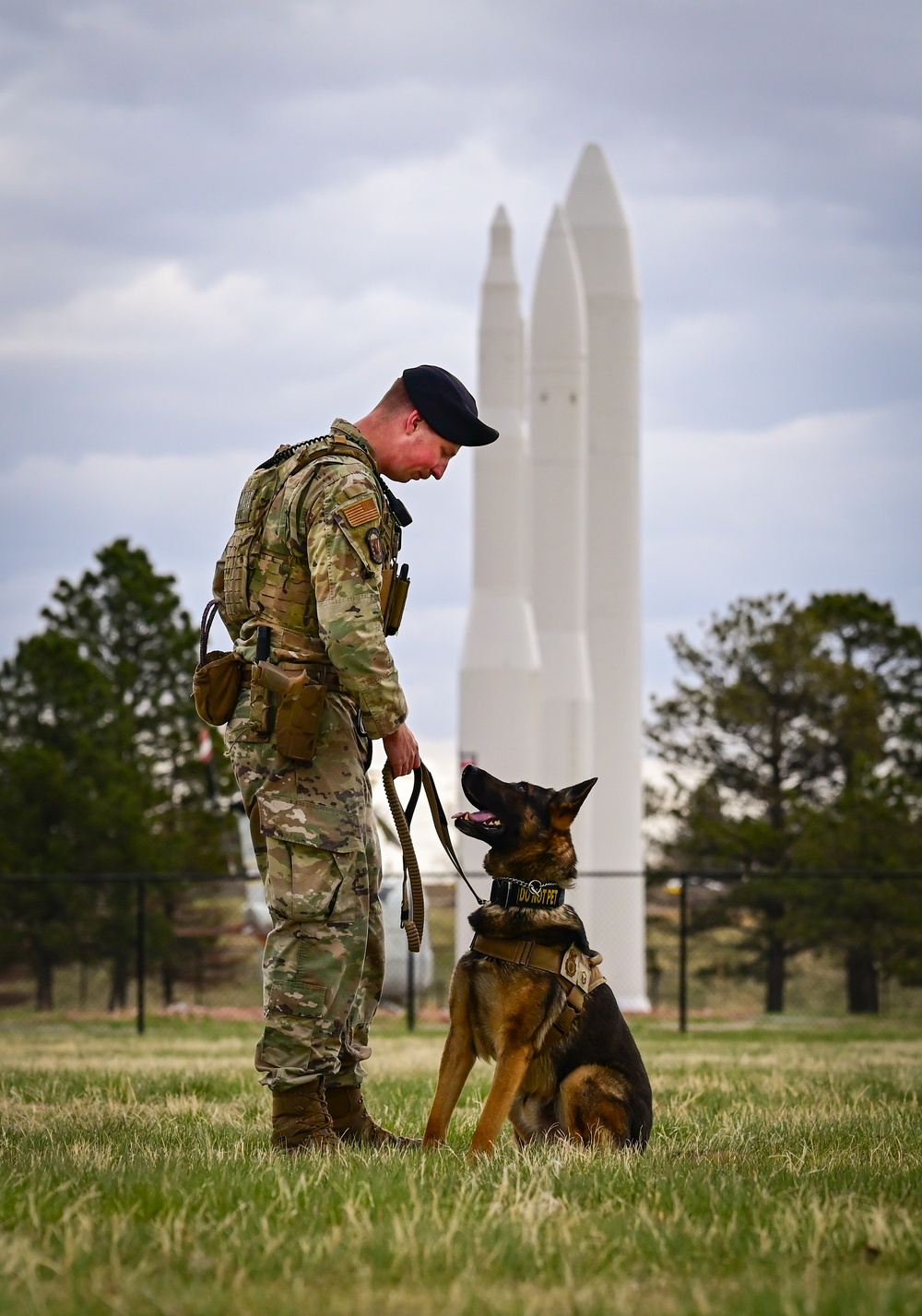 MWD and Handler Maintain Vigilance