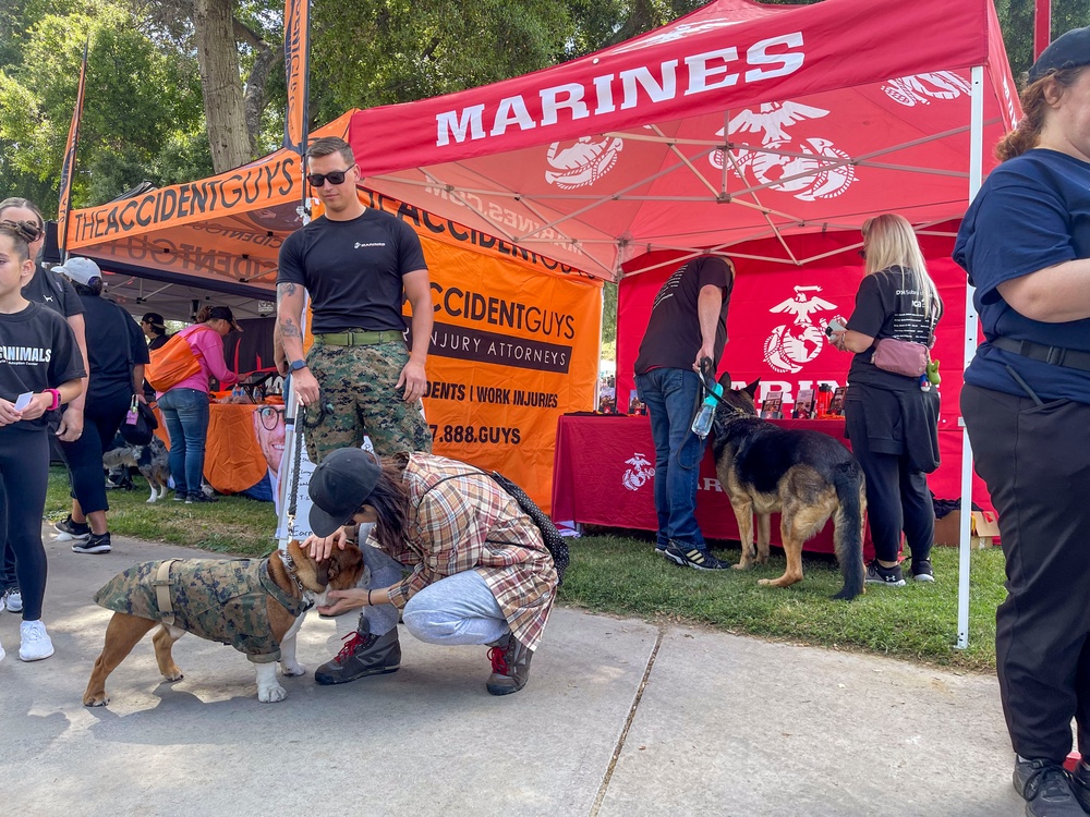 RS Riverside at Walk with the Animals 2024