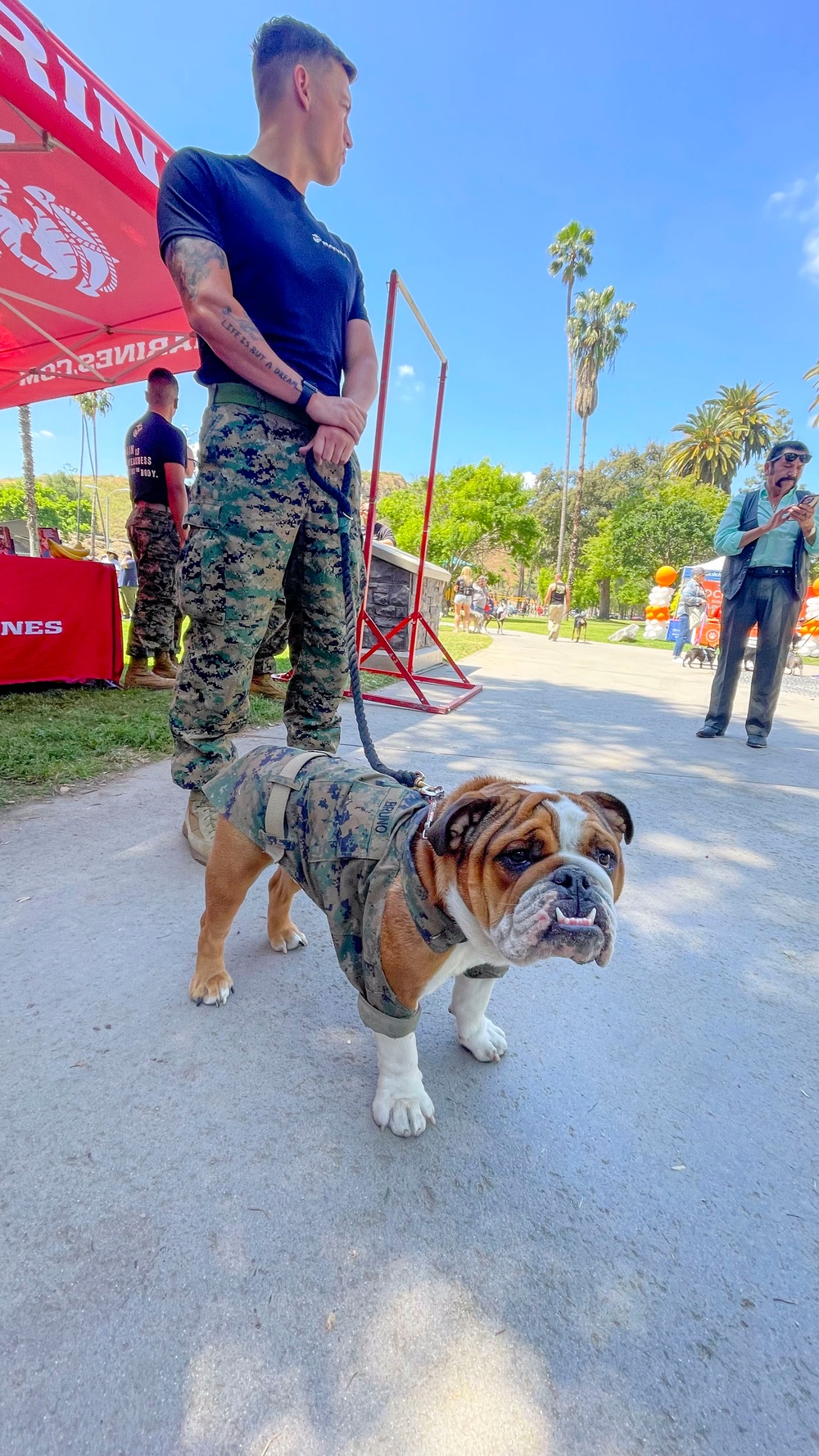 RS Riverside at Walk with the Animals 2024