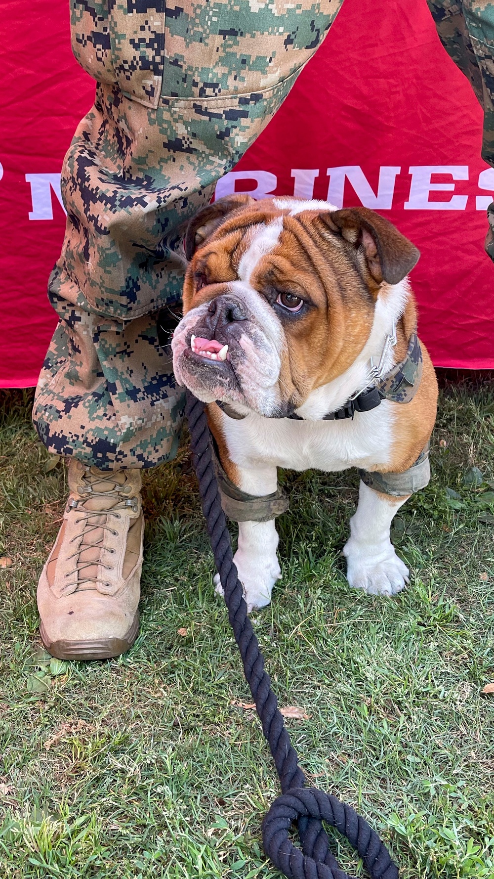 RS Riverside at Walk with the Animals 2024