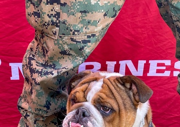 RS Riverside at Walk with the Animals 2024