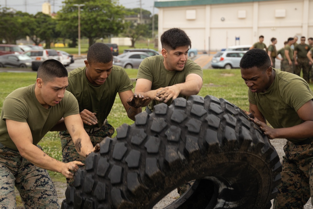 Communications Company Field Day