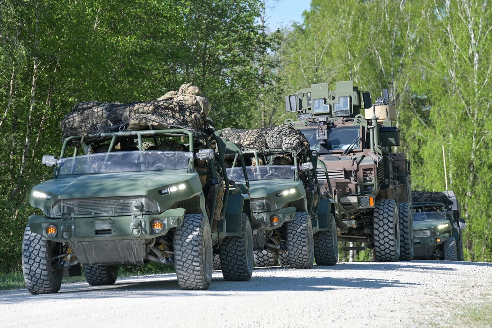 1-91 CAV, 173rd AB live fire exercise